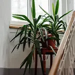 Gruppenhaus Lindenhof * شورفالدن