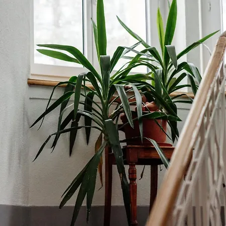 Gruppenhaus Lindenhof * クルヴァルデン