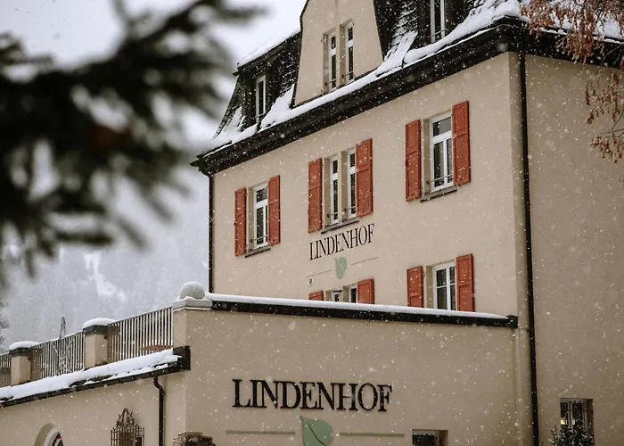 Gruppenhaus Lindenhof Курвальден